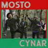 About Cynar Song