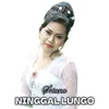 About Ninggal Lungo Song