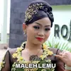 About Maleh Lemu Song