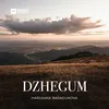 Dzhegum