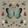 About Butterfly Song