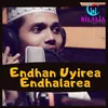 About Endhan Uyire Endhalarea Song