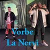 About Vorbe La Nervi Song