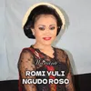 About Romi Yuli - Ngudo Roso - Sambel Kemangi Song