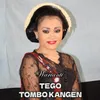 About Tego - Tombo Kangen - Grajagan Banyuwangi - Konco Lawas Song