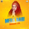 About Mera Nabi Song