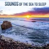 About Sounds of the Sea to Sleep Song