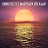 About Sonidos del Mar para Relajar Song