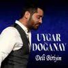 About Deli Biriyim Song