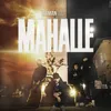 Mahalle