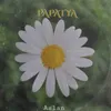 About Papatya Song