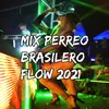 Mix Perreo Brasilero Flow 2021