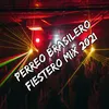 About Perreo Brasilero Fiestero Mix 2021 Song