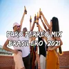 About Puro Perreo Mix Brasilero 2021 Song