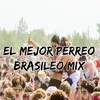 El Mejor Perreo Brasileo Mix