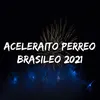 Aceleraito Perreo Brasileo 2021