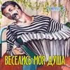 About Веселись моя душа Song