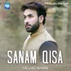 About Sanam Qisa Song