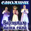 About Виряджала мати сина Song