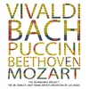 Partita for Solo Violin No. 2 in D Minor, BWV 1004: Chaconne in G Major Transcr. by Ferrucio Busoni