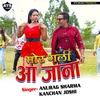 About Mor Gali Aa Jana Song