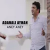 About Aney Aney Song
