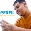 About Perfil Song