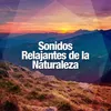 About Sonidos Relajantes de la Naturaleza Song