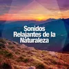 Sonidos Relajantes de la Naturaleza