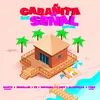 About Cabañita Sin Señal Remix Song