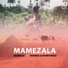 Mamezala