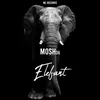 About Elefant Song