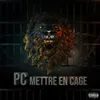 About Mettre en cage Song