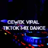 About Cewek Viral TikTok Mix Dance Song