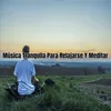 Música Tranquila Para Relajarse Y Meditar