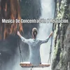 Musica De Concentración Y Relajación