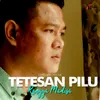 About Tetesan Pilu Song