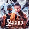 About Saanp Song