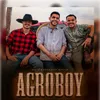 About Agroboy Song