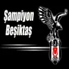 About Şampiyon Beşiktaş Song