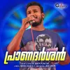 About Pranadarshan Song