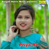 About Priya Re Song