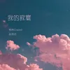 About 我的寂寞 Song