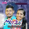 About Nijam Song