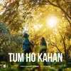 About Tum Ho Kahan Song