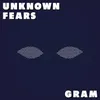 About Unknown Fears Song
