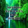 Naturaleza