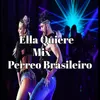 About Ella Quiere Mix Perreo Brasileiro Song