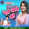 About Chadti Jawani Gori Song