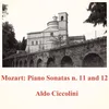 Piano Sonata No. 11 in A Major, K. 331 "Alla Turca": I. Tema con variazioni. Andante grazioso